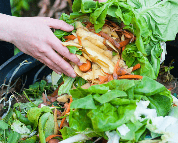 Practical Tips for Reducing Food Waste